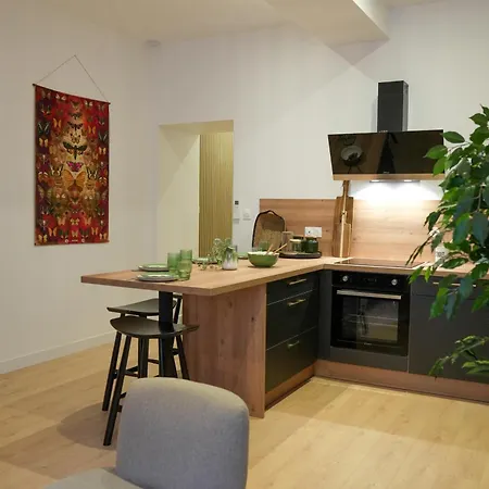Apartman Hypercentre - Loge Des Ducs Dijon