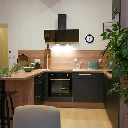 Hypercentre - Loge Des Ducs * Ντιζόν