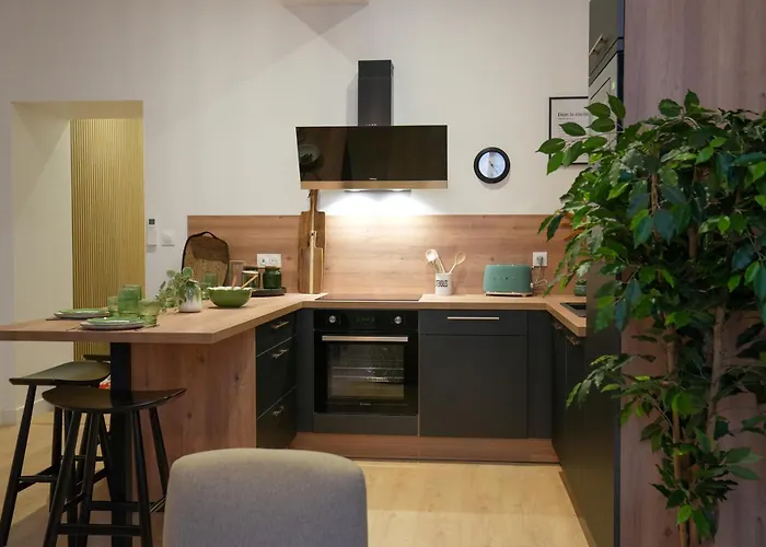 Hypercentre - Loge Des Ducs * Dijon