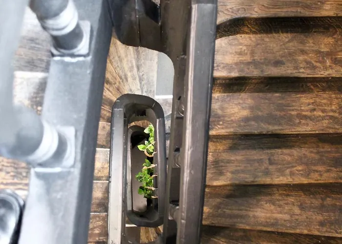 Appartement Hypercentre - Loge Des Ducs *